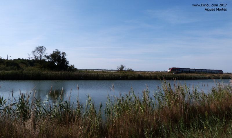 Le TER, arrive bien à Aigues Mortes, et Grau du Roi, depuis Nimes