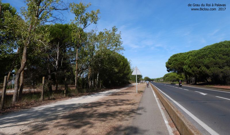 Grau du Roi ; Vers La Grande Motte, très vague piste cyclable pas indiquée ou très mal