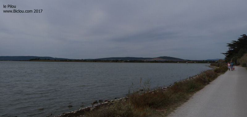 ViaRhôna à Le Pilou, sur le canal du Rhône à Sète