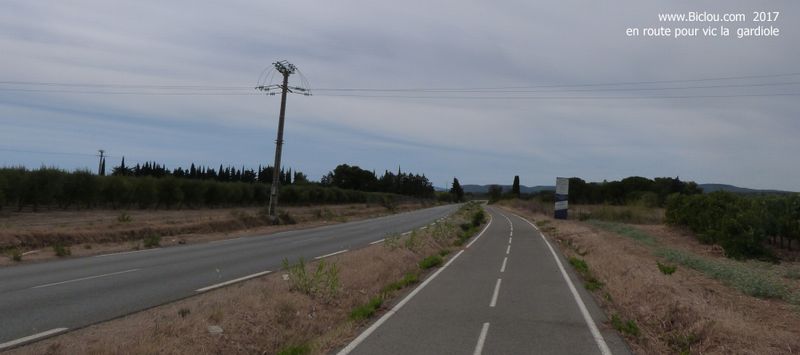 ViaRhôna : Direction Vic la Gardiole 