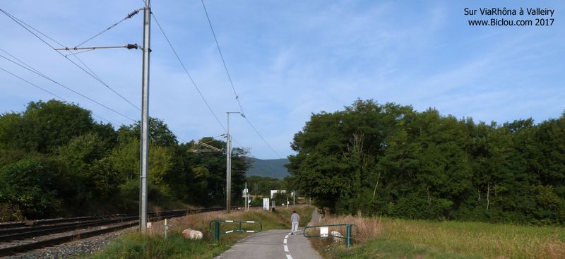 Sur ViaRhôna à Valleiry en 2017