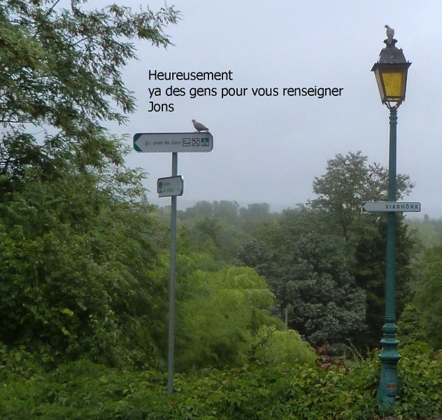 Sur ViaRhôna, oiseaux indicateurs