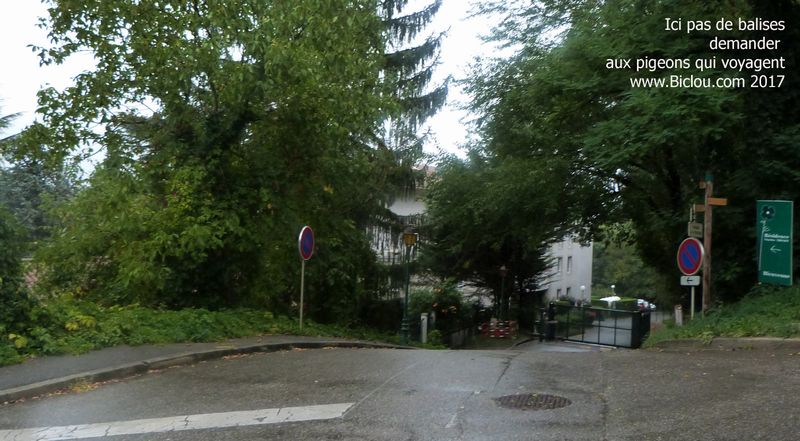 sur ViaRhôna Biane, peu avant Jons, point de balisage .. : 