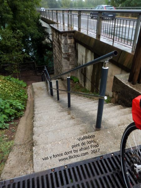 ViaRhôna Pont de Jons : Vas y fonce Alphonse ..