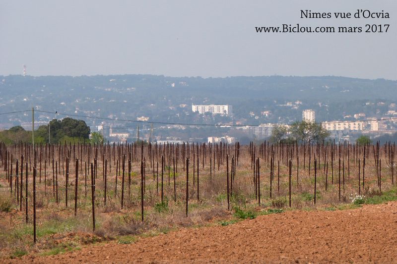 Vue sur Nimes, depuis Ocvia en mars 2017 