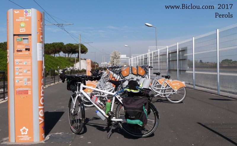 Perols, station de Tram et location de bicyclettes en 2017, sur annexe ViaRhôna
