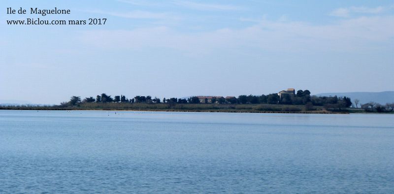 Ile de Maguelone près de Palavas en 2017