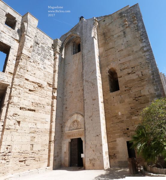 Abbaye de Maguelone mars 2017 