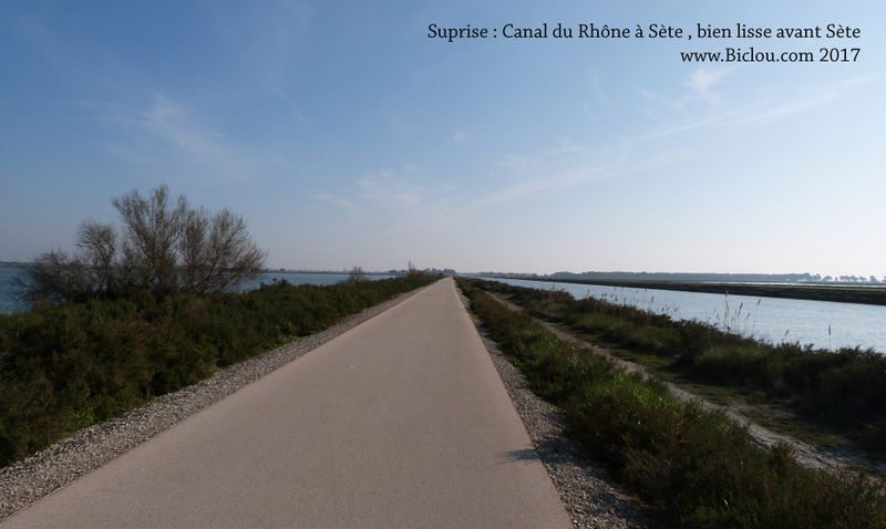 Quel beau tapis en mars 2017, sur la halage du canal du Rhône à Sète , juste avant la ville de Sète