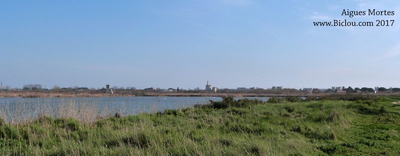 Sur ViaRhôna en 2017 : Aigues mortes au loin
