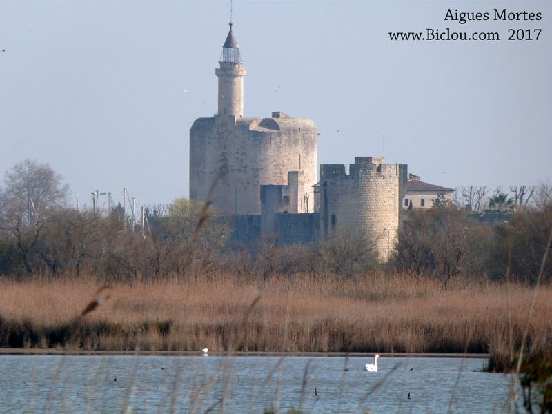 La tour de Constance à Aigues mortes