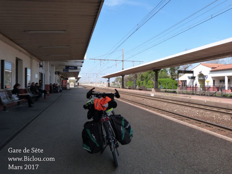Mon-Coeur en attente du TER en gare de Arles en 2017