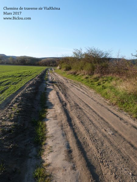 Chemin de traverse de ViaRhôna à D 86 avant Bourg saint Andéol au niveau de Montan