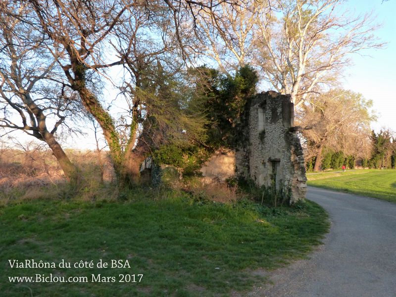 Sur ViaRhôna, Bourg saint Andéol, témoignage du passé