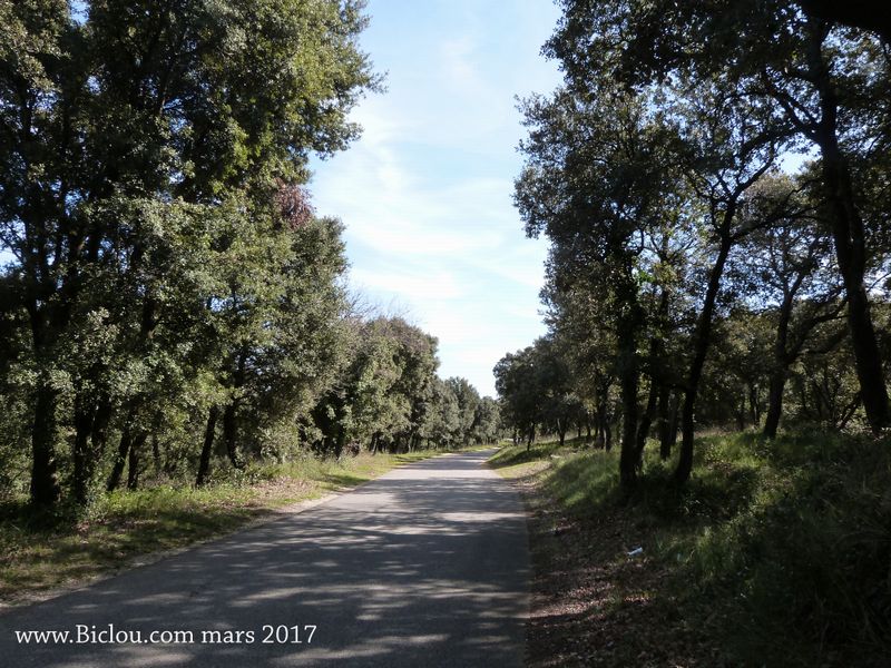 Sortir de Piolenc vers Orange par les routes de traverses, n'est pas zaizé en mars 2017.