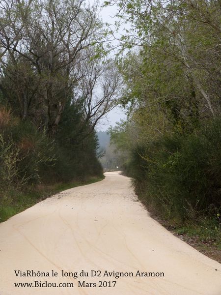 travaux ViaRhôna avignon Aramon long rhône et D2 en 2017