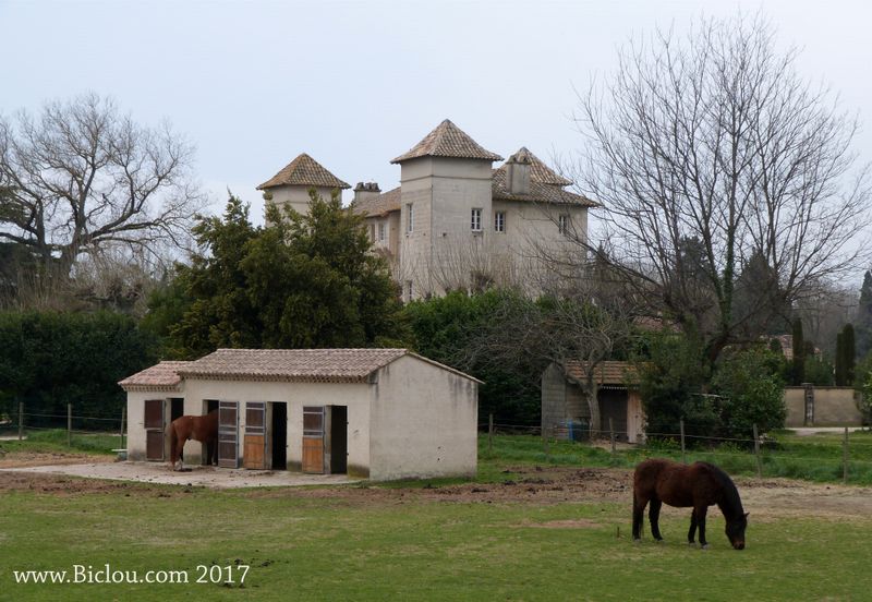 Château d'Avignon , dans la zone de Barthelasse.