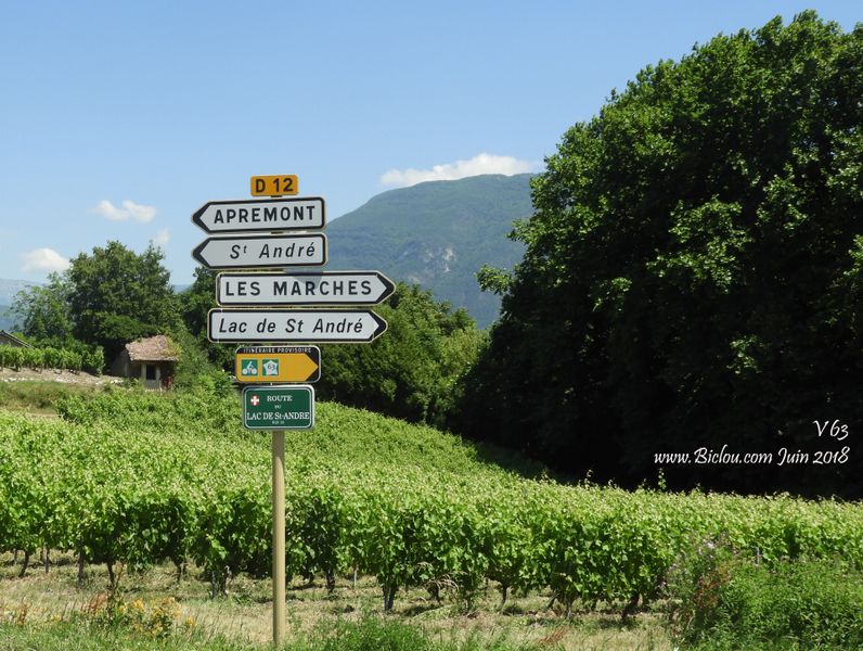 V63 dans les vignes d'Apremont lac de saint André