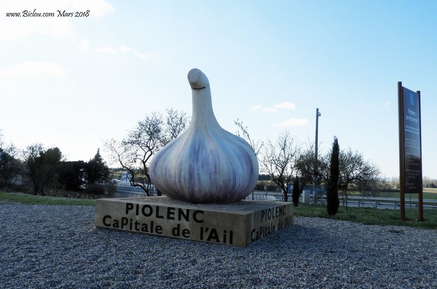 L'ail de Piolenc