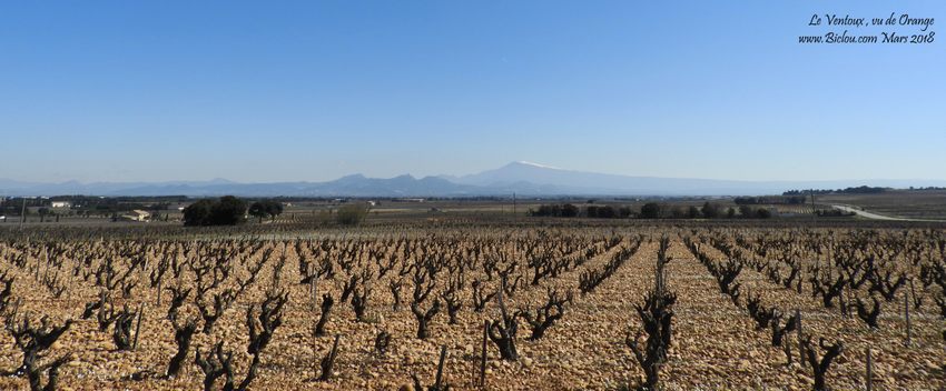 Le ventoux vu depuis les vignes entre Orange, châteauNeuf du pape