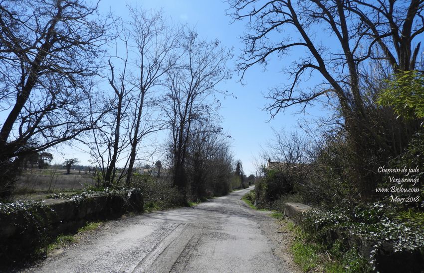 Sur ViaRhôna : chemin de .. vers le Pontet (Avignon)