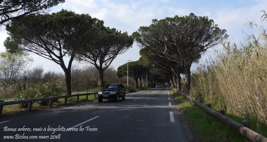 Beaux arbres, mais serrez les fesses sur cette route