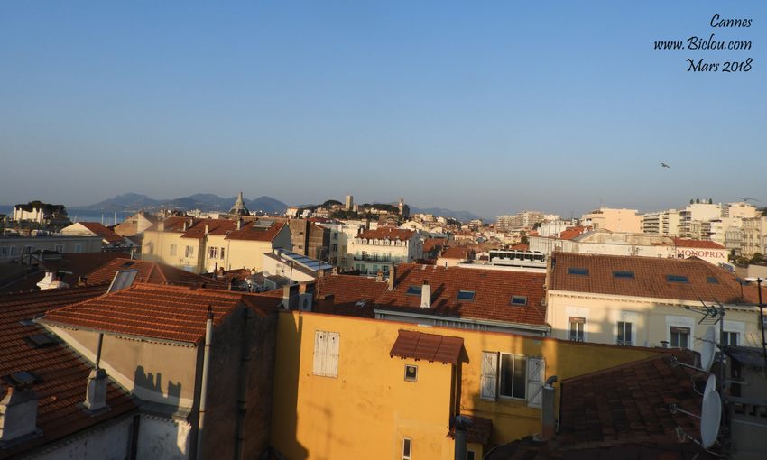Cannes vue des toits