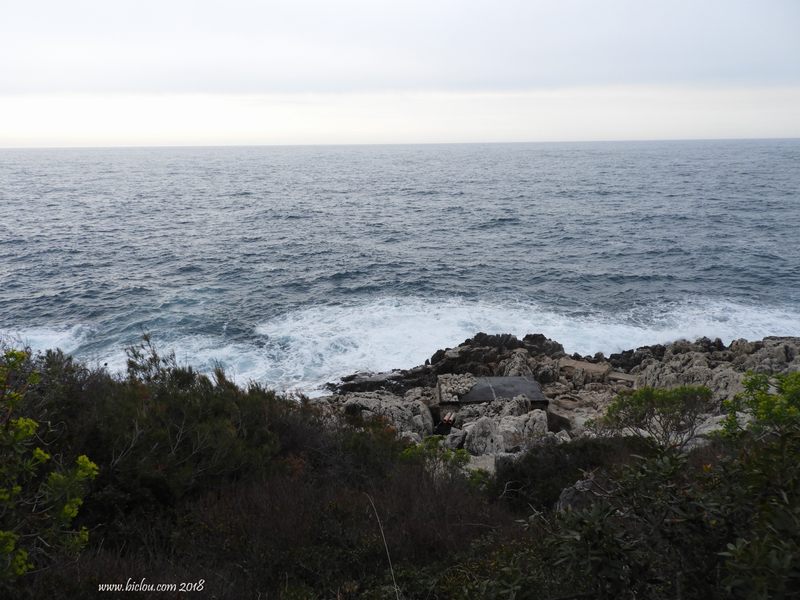 Côte découpée du côté de Menton - Monte Carlo