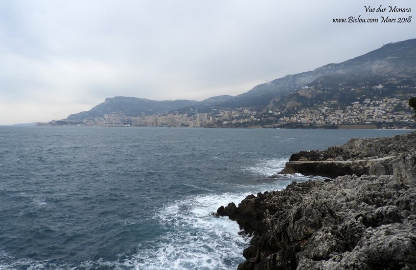 Vue de Monaco