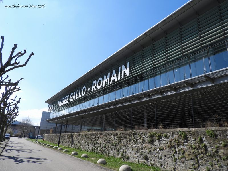 Musée gallo-Romainn de saint Romain en gal face à Vienne