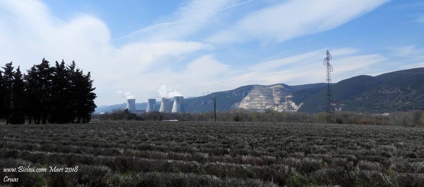 La lavande de la Drôme et les centales nucléaires font bon ménage ici à Cruas (Ardèche)