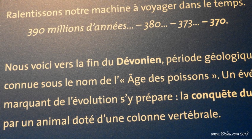 Petit rappel d'histoire : Le Dévonien