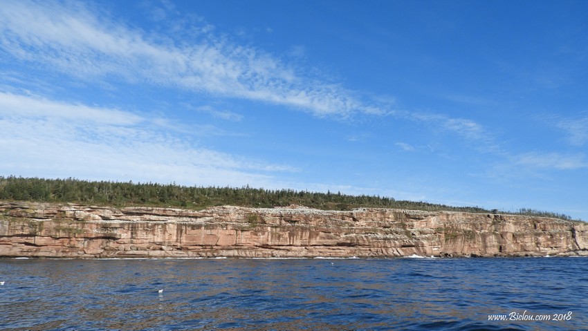 Ile de BoneAventure
