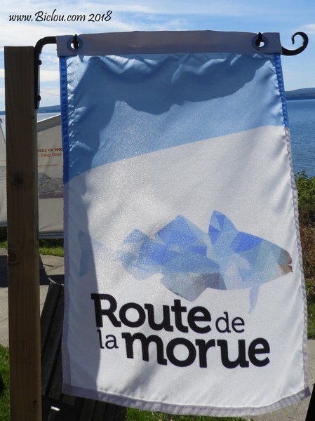 Route de la Morue