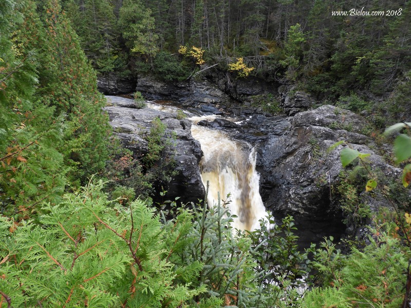 Rivière Sainte Anne , dans le Parc de la Gaspésie