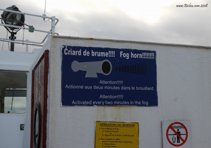 Criard de Brume ; ça rassure ..