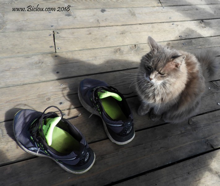 Un ou une ami(e) rencontré(e) au Québec , amoureuses de mes chaussures : mais elle ne m'a pas donné son prénom ..