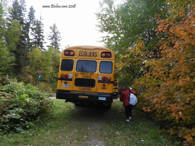 Les fameux Bus écoliers du Québec