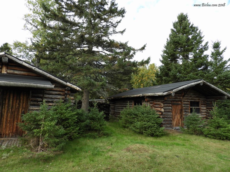 Ma cabane au canada, en démo dans le zoo st Félicien