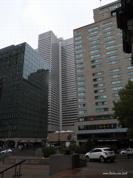 Cubes à MontRéal