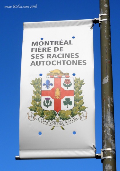 MontReal : et ses Racines autochtones