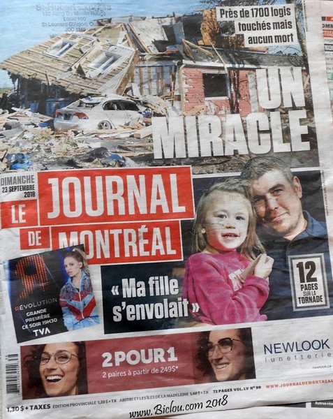 Après le Passage de la Tornade à Toronto en sept 2018