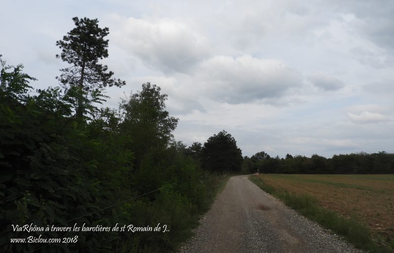 ViaRhôna sur les barotières de st romain de jalionas ! tu parles d'un parcours !
