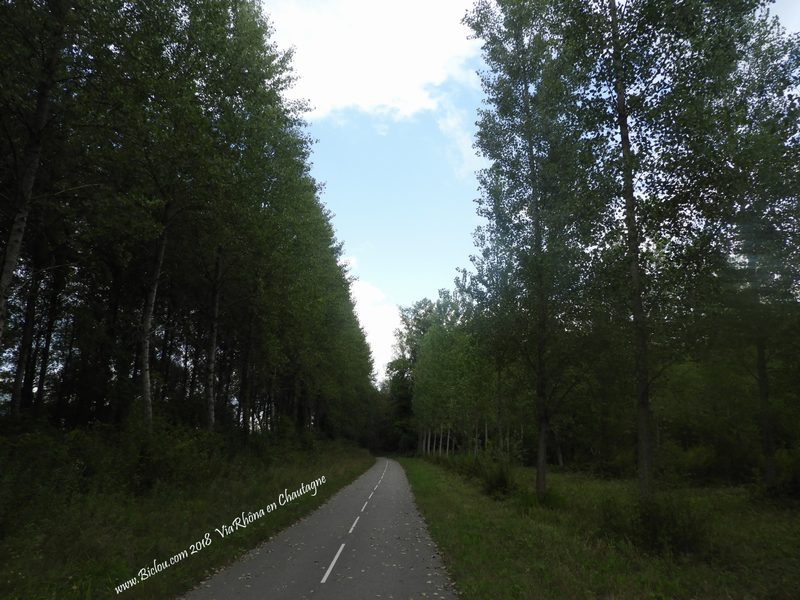 ViaRhôna traverse la Forêt de Chautagne
