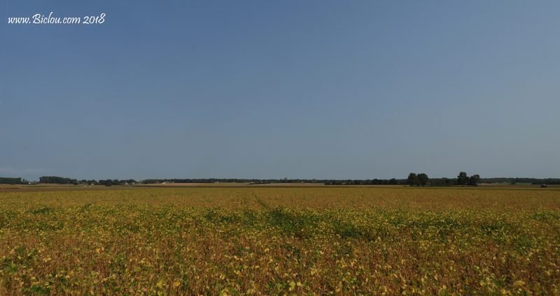 Sécheresse 2018 en Bresse