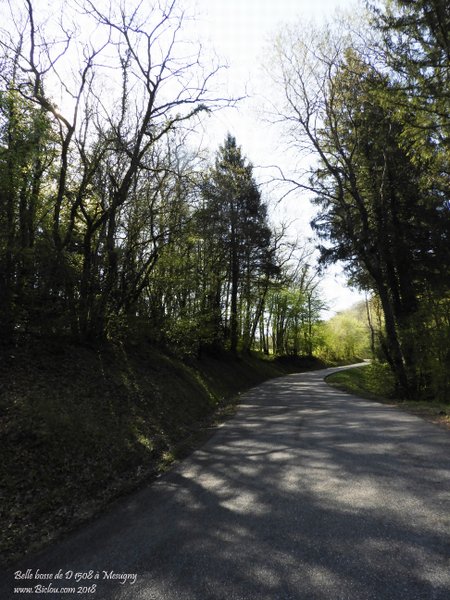 Route de Chilly (haute savoie), on échappe à la D 1508 au prix d'une belle bosse de 3 km ..