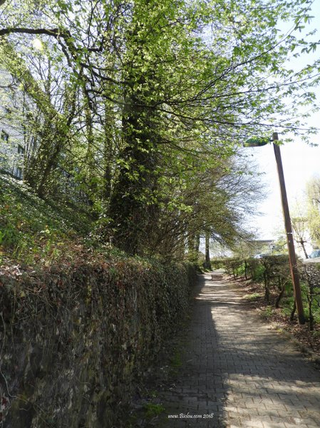 Montée à Seynod par un chemin dont claudio a le secret