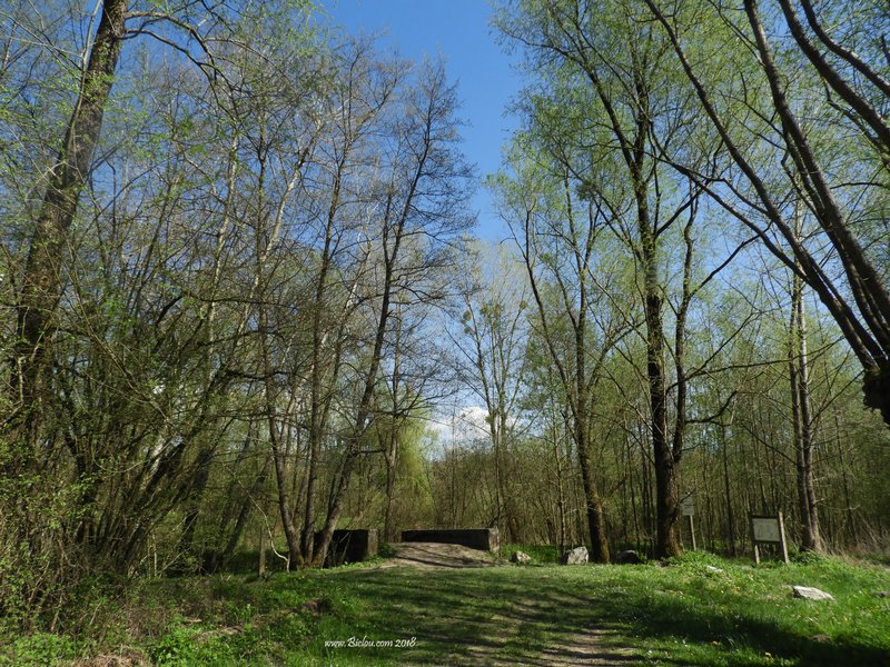 Chemin le long de la Deisse