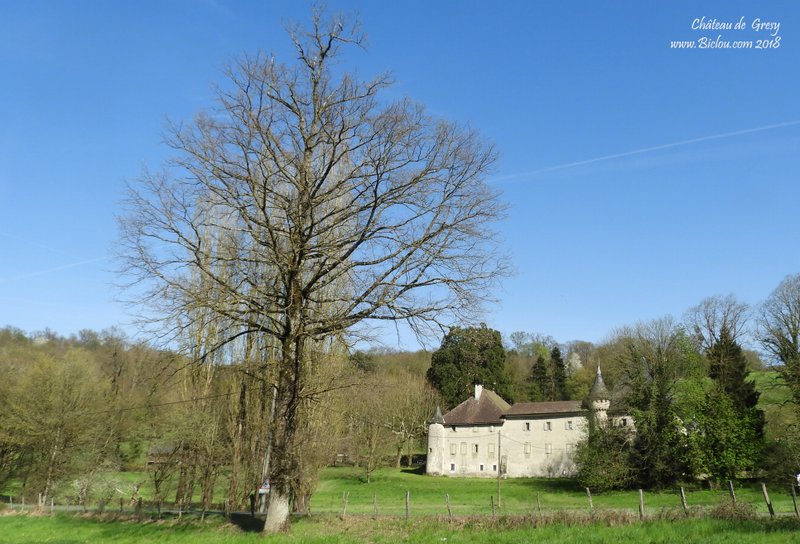 Château de Grésy (Loche ?) à Droise