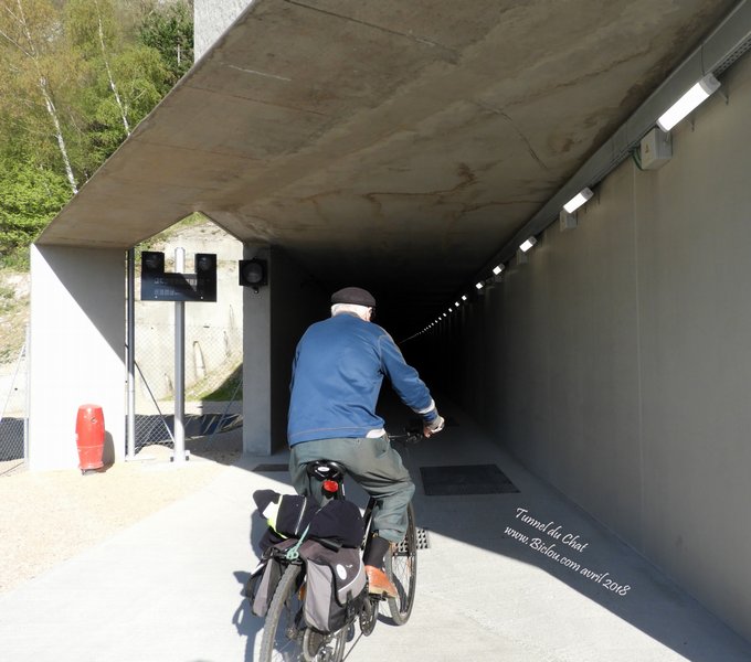 Entrée dans le tunnel du chat